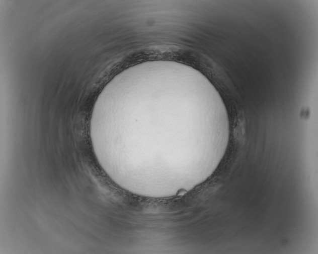 X0000112520819200909141221