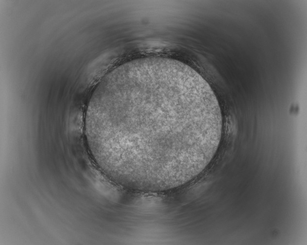 X0000112520820200909141221