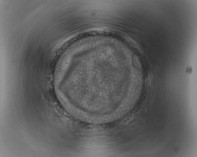 X0000112520822200909141221