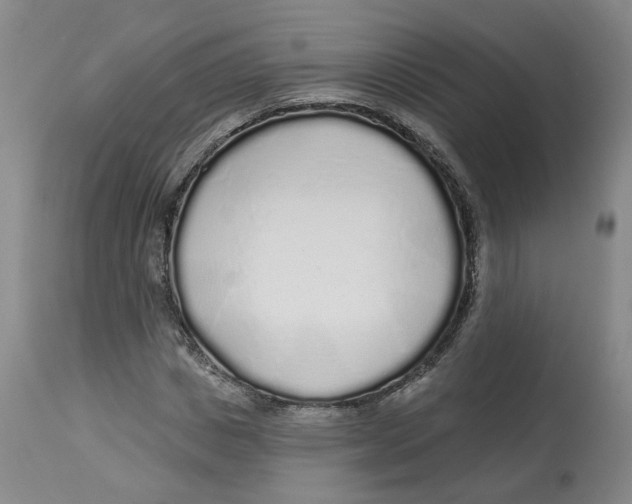 X0000112520825200909141221