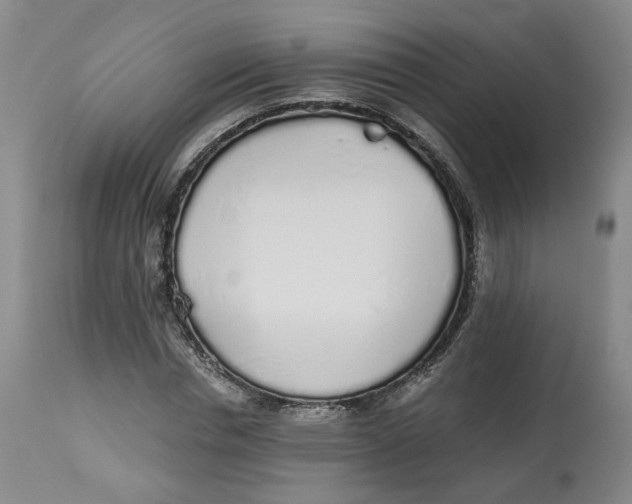 X0000112520826200909141221