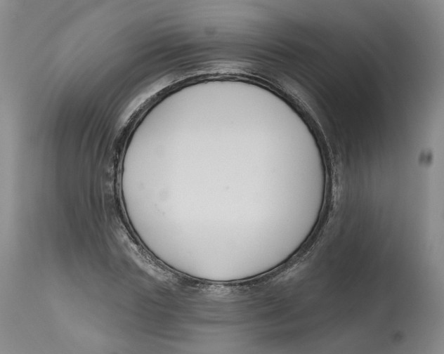 X0000112520827200909141221