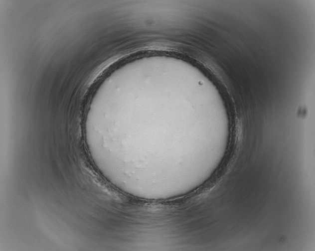 X0000112520829200909141221