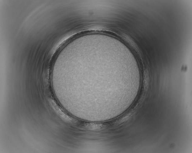 X0000112520831200909141221