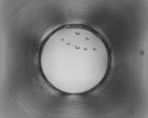 X0000112520834200909141221
