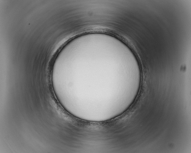 X0000112520835200909141221