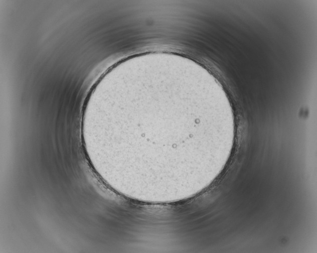 X0000112520836200909141221
