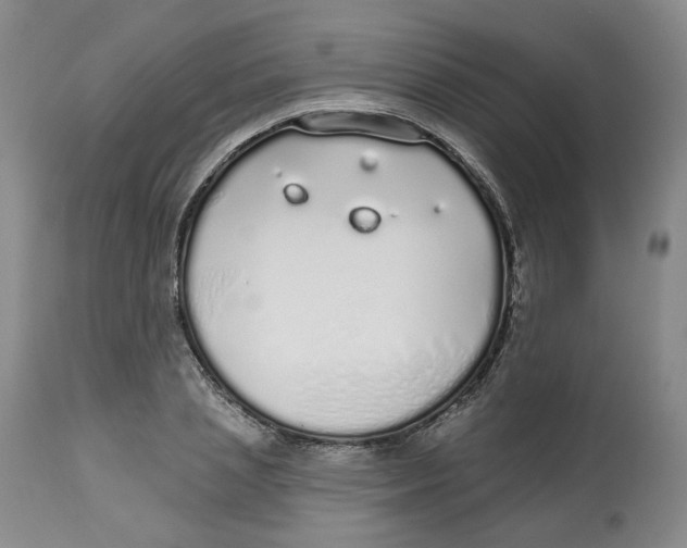X0000112520837200909141221