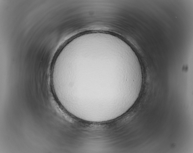 X0000112520840200909141221