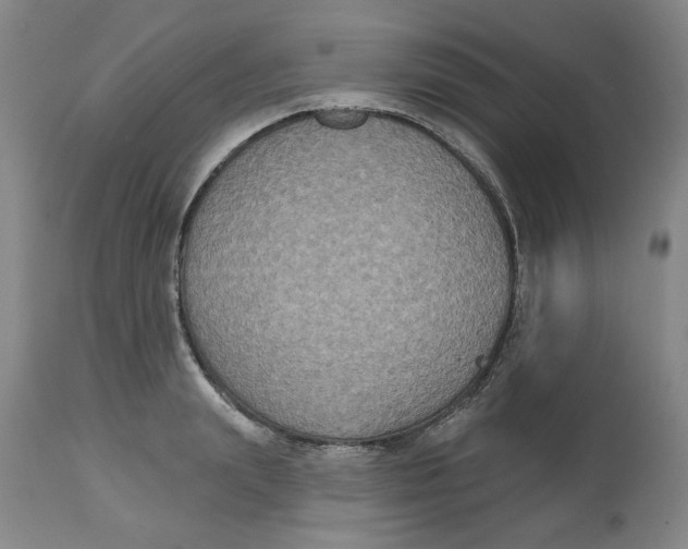 X0000112520847200909141221