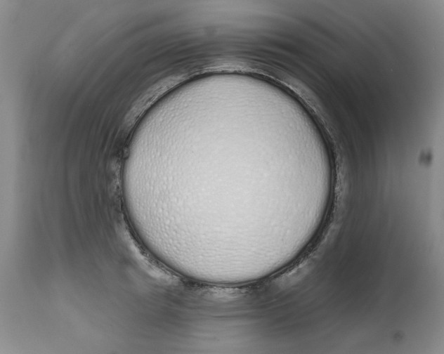 X0000112520849200909141221