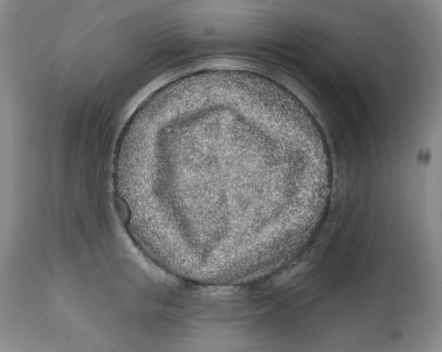 X0000112520853200909141221