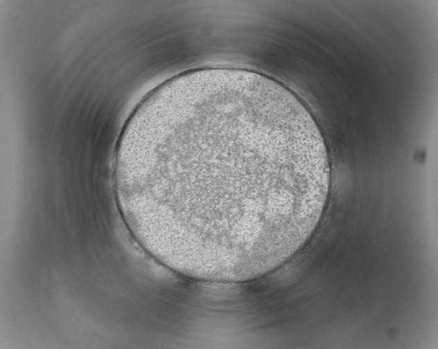 X0000112520856200909141221
