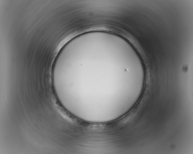 X0000112520858200909141221