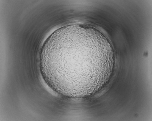 X0000112520859200909141221
