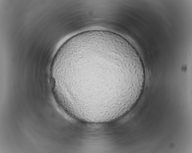 X0000112520862200909141221
