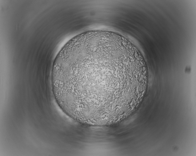 X0000112520863200909141221