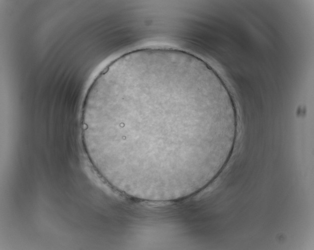 X0000112520864200909141221