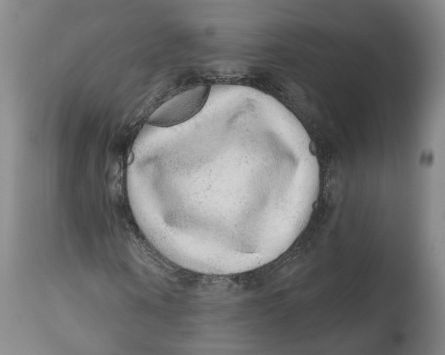 X0000112520866200909141221