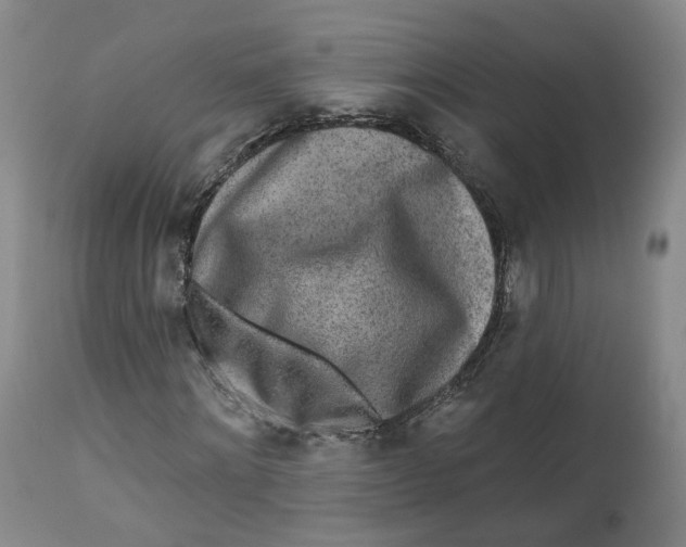 X0000112520868200909141221