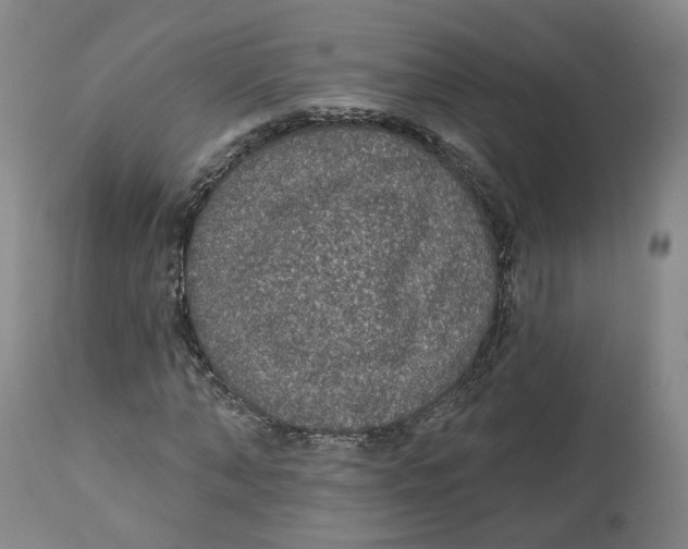 X0000112520870200909141221
