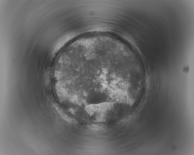 X0000112520874200909141221