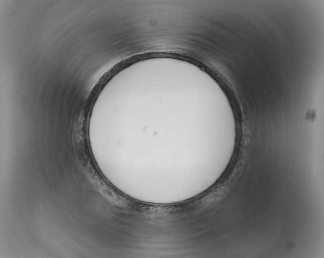 X0000112520875200909141221