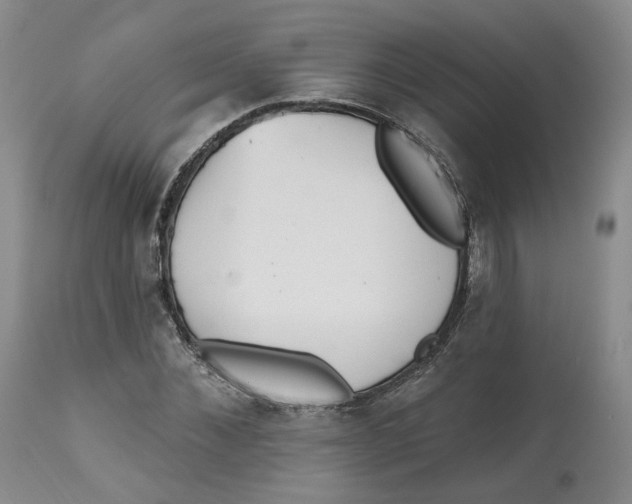 X0000112520876200909141221