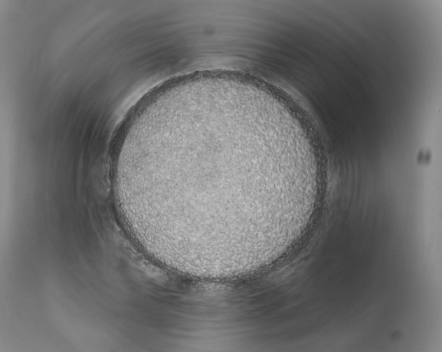 X0000112520878200909141220