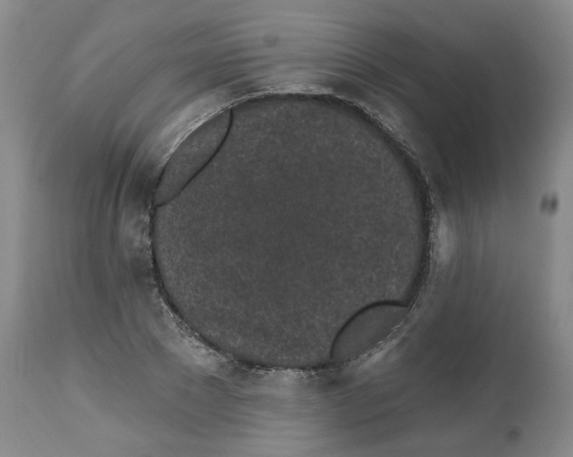 X0000112520881200909141220