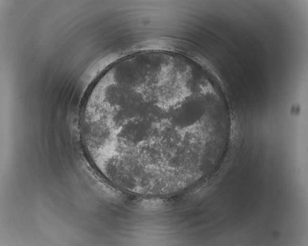 X0000112520882200909141220