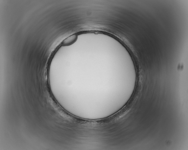 X0000112520885200909141220