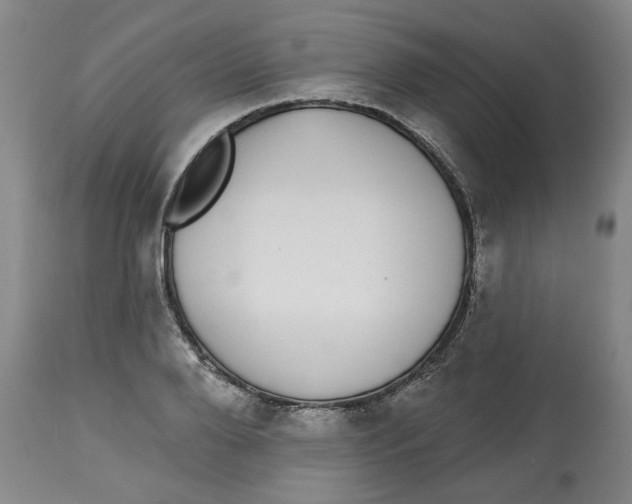 X0000112520888200909141220