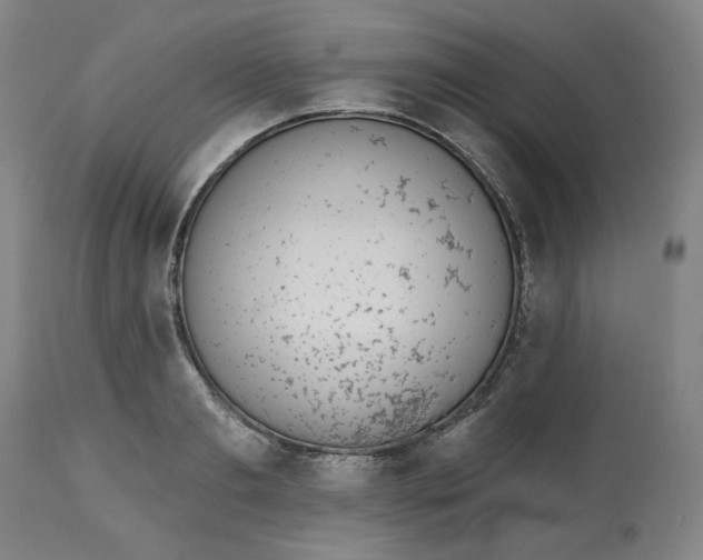 X0000112520893200909141220