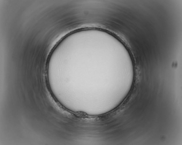 X0000112520895200909141220