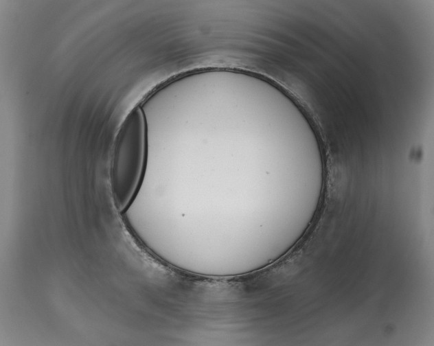 X0000112520896200909141220