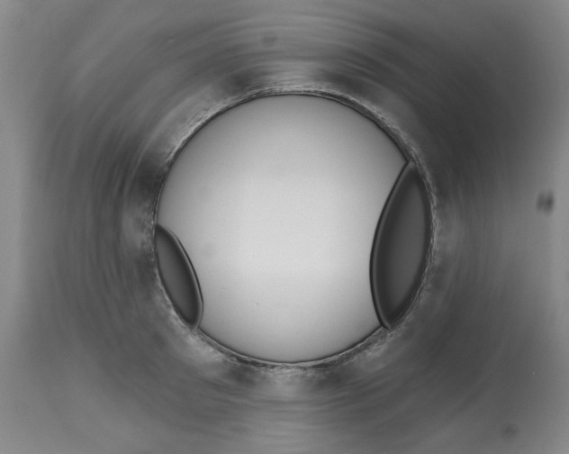 X0000112520897200909141220