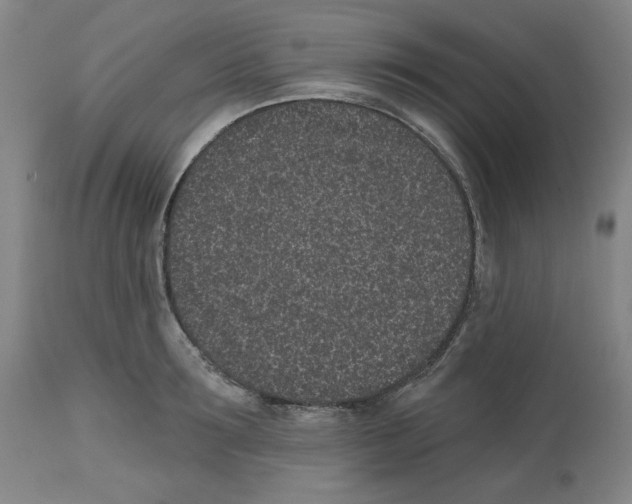 X0000112520899200909141220