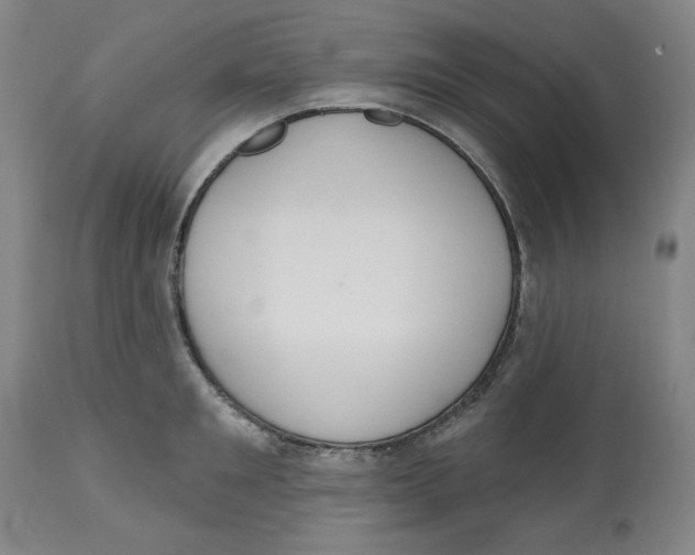 X0000112520901200909141220