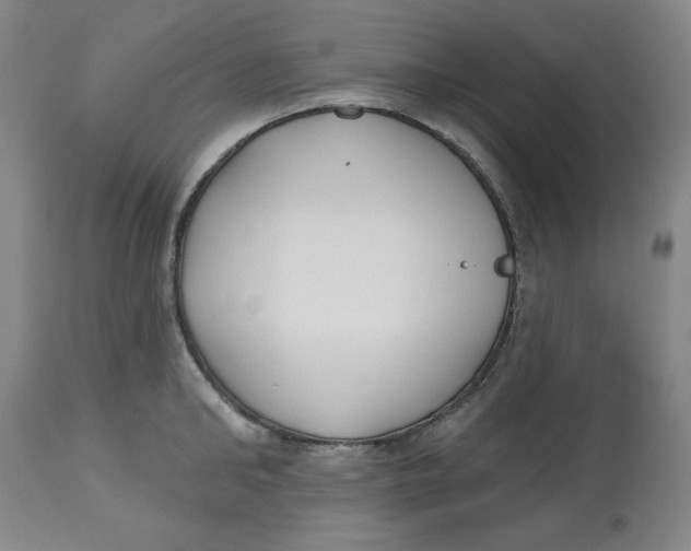 X0000112520902200909141220