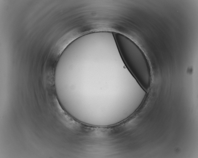 X0000112520905200909141220