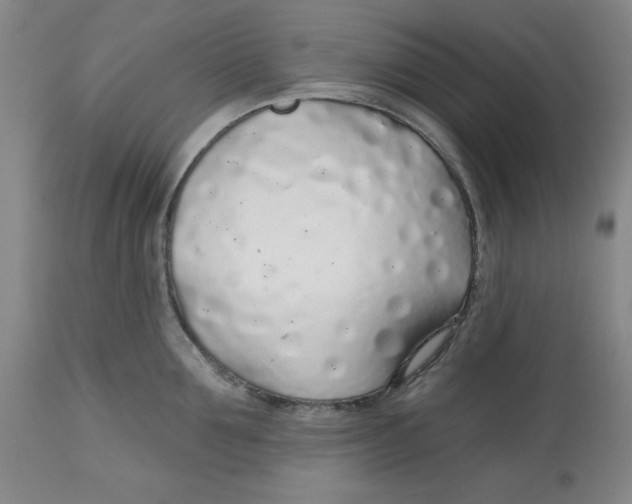 X0000112520907200909141220