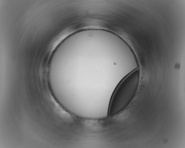 X0000112520909200909141220