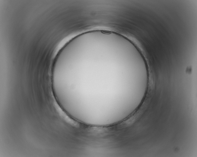 X0000112520910200909141220