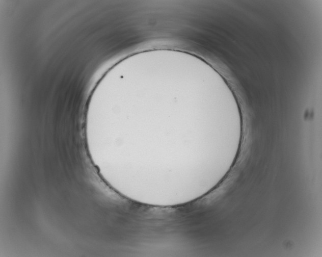 X0000112520912200909141220
