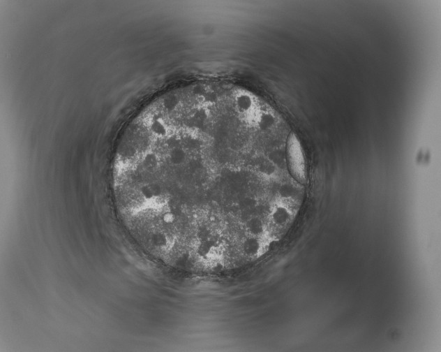 X0000112520913200909141219