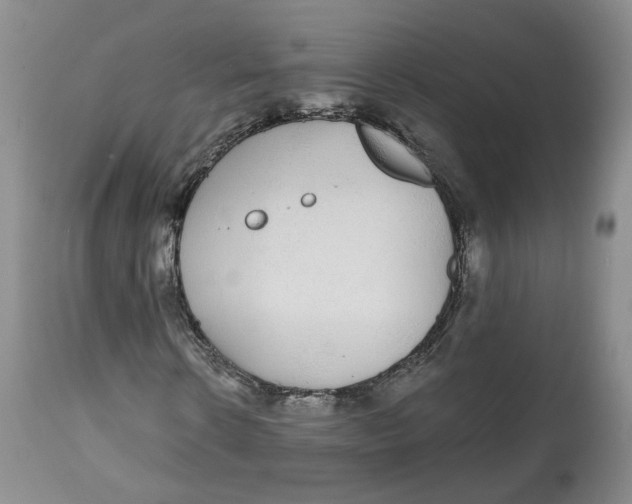 X0000112520914200909141219