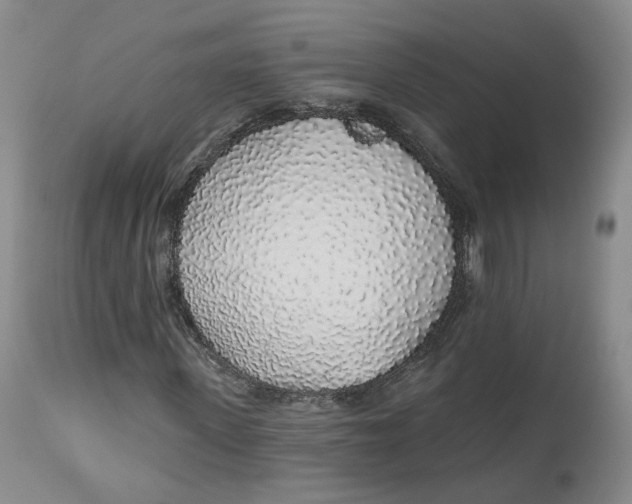 X0000112520915200909141219