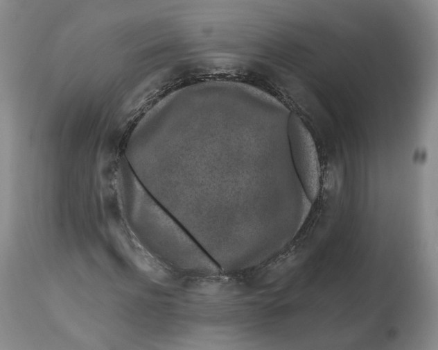 X0000112520916200909141219