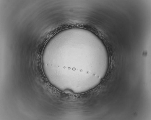 X0000112520917200909141219